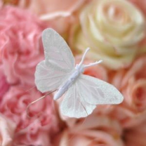 Meet your Posher, Annalisa